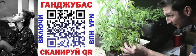Каннабис конопля  Онега 